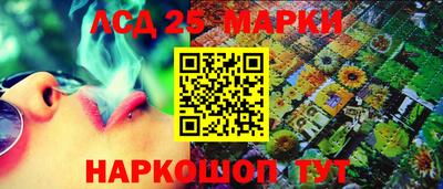 гидропоника Балашиха